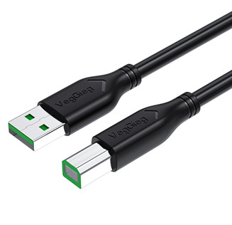 CÁP USB IN DÀI 1.5M - 10M VEGGIEG (5M)